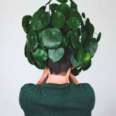 À propos Plants Store Gallery Img 3